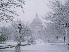 Вашингтон ДиСи орчимд их хэмжээний цас орсны улмаас авто замууд халтиргаатай байна 
