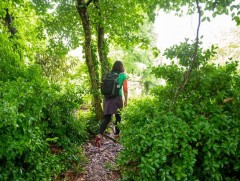 Ковид ба байгаль