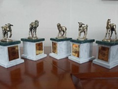 “Алтан төлийн эзэн”-д нэр дэвшигчдийн материалыг хоёрдугаар сарын 1 хүртэл авна 