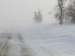 Төв болон говийн аймгуудаар цас орж, цасан шуурга шуурна