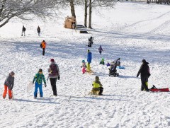 Цана, чаргаар гулгахдаа бэртэж, гэмтэхээс сэргийлээрэй 