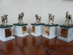 “Алтан төлийн эзэн” шагналыг 48 дахь жилдээ шалгаруулан олгоно