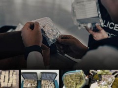 ЦЕГ: 3 тэрбумын үнэлгээтэй 15 төрлийн мансууруулах эм, сэтгэцэд нөлөөт бодисыг илрүүлсэн