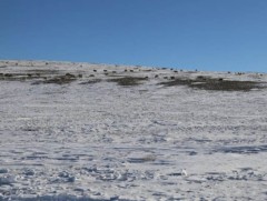 Цасан бүрхүүлийн хэмжээг өмнөх арван хоногтой харьцуулахад 5 хувиар буурсан байна