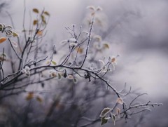 Ирэх арав хоногт цаг агаар ямар байх вэ