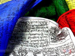 Эрт үед хийморийн дарцаг хийсгэхдээ байгаль орчинд ээлтэйгээр зан үйлээ хийдэг байсан 