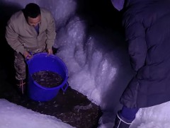 Сэлбэ голын загасыг Туул голын харзалсан хэсэгт шилжүүлжээ