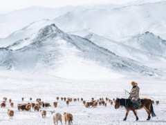 Нэгдүгээр сарын 20-ны байдлаар 11 аймгийн 52 сум 