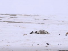 Өвөрхангай аймгийн Сант, Баянгол суманд 