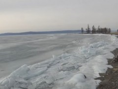 Өнгөрсөн жил 