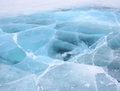 Автомашинтай зорчиж явсан дөрвөн иргэн Буйр нуурт живж, нас баржээ