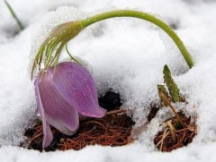 Дөрөвдүгээр сарын цаг агаарын ерөнхий төлөв