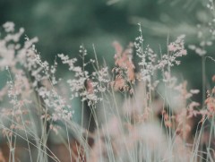 Ирэх арав хоногт цаг агаар ямар байх вэ?