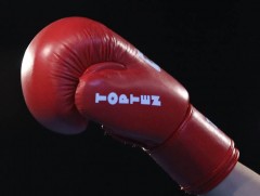 Монгол Улсад 2026 онд Олон улс, тив, дэлхийн 8 тэмцээнийг зохион байгуулна