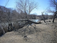 Арав хоногийн цаг агаарын урьдчилсан төлөв