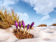 ЦАГ АГААР: Гуравдугаар сарын 7-12-ныг хүртэл ихэнх нутгаар дулаарна 