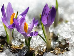 Ирэх 10 хоногт цаг агаар ямар байх вэ 