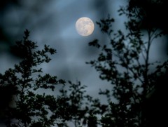 ЦАГ АГААР: Улаанбаатарт шөнөдөө 6 хэм хүйтэн 