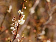 Ирэх 10 хоногт цаг агаар ямар байх вэ 