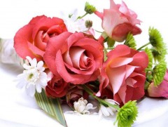 Монгол Улсад Сарнай нэртэй 2407 хүн байна 