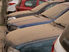 Агаар дахь тоосонцрын хэмжээг бууруулахын тулд ногоон байгууламжийг нэмэгдүүлэх хэрэгтэй