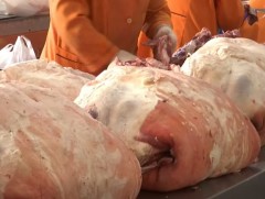 Махны үнэ өмнөх сараас 1500-2000 төгрөгөөр нэмэгджээ