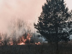 Ой хээрийн түймрийн аюулаас сэрэмжлүүлж байна!