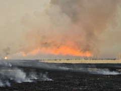 Ой, хээрийн 3 гал түймрийг унтраахаар ажиллаж байна