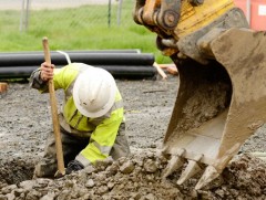 Нийт хөдөлмөр эрхлэгчдийн 53 хувь нь эзэмшсэн мэргэжлээсээ өөр чиглэлээр ажиллаж байна