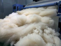 Ноос, ноолуурын салбарын экспорт нэмэгдэж буй нь эдийн засагт эергээр нөлөөлж байна