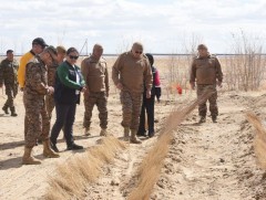 Говийн бүсэд цөлжилтийг бууруулахад 