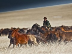 ЗГ: Монгол Улсын Ерөнхийлөгчийн санаачилсан 