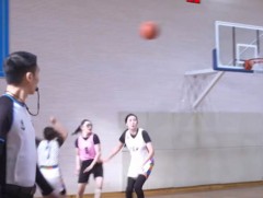 Сагсан бөмбөгийн сонирхогчдын 