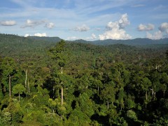 Өнөөдөр “Олон улсын ойн өдөр”