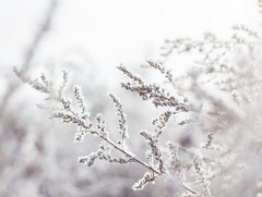 ЦАГ АГААР: Улаанбаатарт өдөртөө 2 хэм хүйтэн 