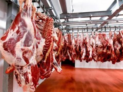 Манай улс жилд 170-200 мянган тонн мах экспортлох боломжтой