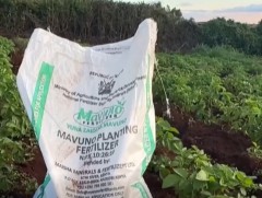 Дайны нөлөөгөөр бордооны хомсдол үүсэж, хүнсний үнэ нэмэгдэх эрсдэл нүүрлэж байна