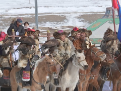 Бүргэдийн баяр 