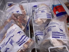 Нийслэлийн есөн дүүрэгт 386 цэгээр нөөцийн махыг жижиглэнгээр худалдаалж байна