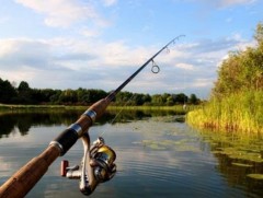 Үржлийнх нь үед загас агнаж, барихыг хориглоно 