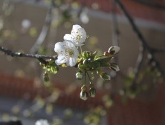 Ойрын 10 хоногт цаг агаар ямар байх вэ 
