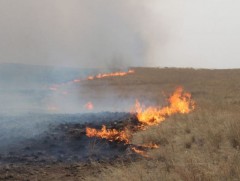 Ой хээрийн түймрийн аюулаас сэрэмжлүүлж байна 