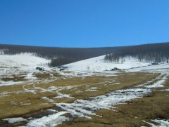 Нийт нутгийн 15 хувьд цастай байна