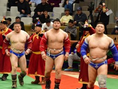 Дөрөвдүгээр сард зохион байгуулагдах хүчит бөхийн барилдааны хуваарь