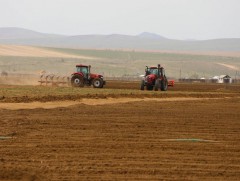 Нийт тариалалт 208.5 мянган га-д хүрч, улаанбуудайн тариалалт 57.1 хувийн гүйцэтгэлтэй байна
