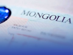 Гадаадын иргэдийн 52.4 хувь нь хөдөлмөр эрхлэх зорилгоор оршин сууж байна 