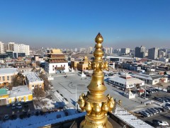 НИТХ: Гандантэгчэнлин хийдийн орчныг чөлөөлөн ногоон байгууламж бий болгоно 