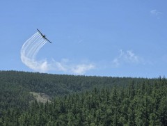 Завхан аймагт ойн хөнөөлт шавжтай тэмцэх ажил үргэлжилж байна