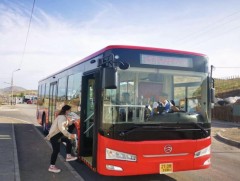 Наадмаар нийтийн тээврийн 6 чиглэлд 34 автобус иргэдэд үнэ төлбөргүй үйлчилнэ 